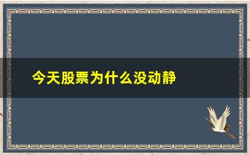 “今天股票为什么没动静(今天股票为什么涨)”/