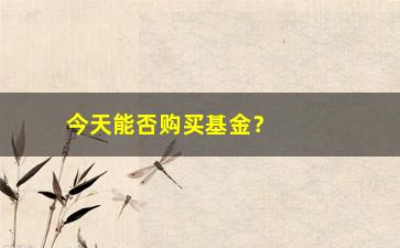 “今天能否购买基金？”/