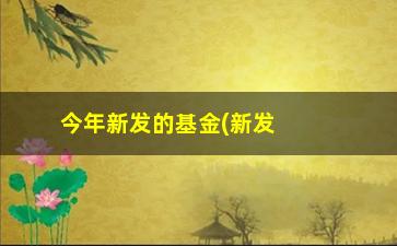 “今年新发的基金(新发行的基金能买吗)”/