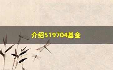 “介绍519704基金净值背后的秘密（提示投资者常犯的错误）”/