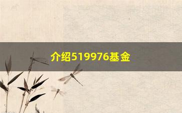 “介绍519976基金背后的秘密（投资人都应该了解的知识点）”/