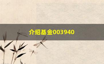 “介绍基金003940（投资者必看的基金研究报告）”/