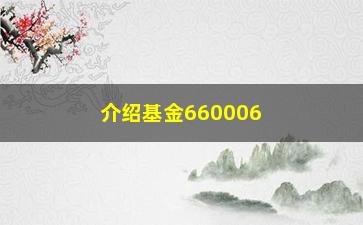 “介绍基金660006的投资价值（从历史数据到未来趋势的全面分析）”/