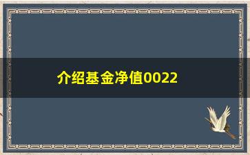 “介绍基金净值002281的秘密（投资者必看的分析报告）”/