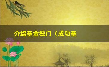 “介绍基金独门（成功基金经理的必备技能和方法）”/