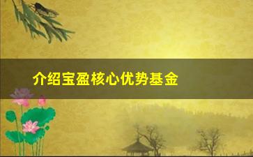 “介绍宝盈核心优势基金的投资方法和优势”/