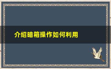 “介绍暗箱操作如何利用黑科技获取巨额利润”/