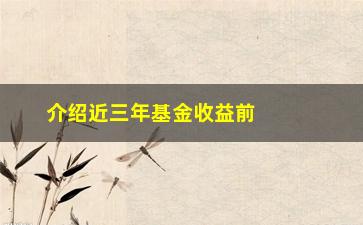 “介绍近三年基金收益前100名（看看你的投资是否与他们一致）”/