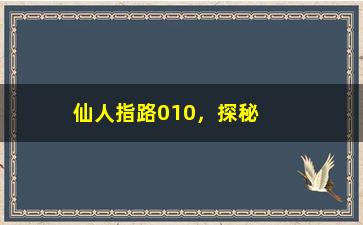 “仙人指路010，探秘神秘的仙人指路010”/