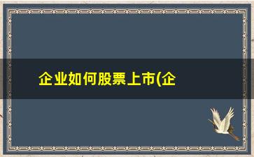 “企业如何股票上市(企业股票上市流程)”/