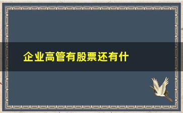 “企业高管有股票还有什么(企业高管可以买卖自己公司股票吗)”/