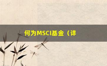 “何为MSCI基金（详细介绍MSCI指数基金）”/