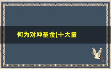 “何为对冲基金(十大量化对冲基金)”/