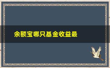 “余额宝哪只基金收益最高？”/