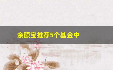 “余额宝推荐5个基金中哪个最靠谱？（专家点评，帮你选出最优选）”/