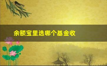 “余额宝里选哪个基金收益最高？”/