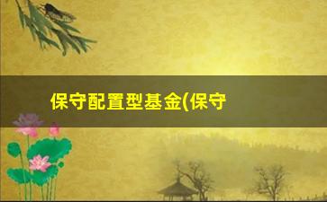 “保守配置型基金(保守型基金有哪些)”/