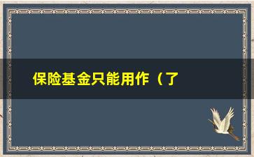 “保险基金只能用作（了解保险基金的使用范围和注意事项）”/