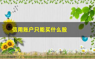 “信用账户只能买什么股票(炒股信用账户有什么用)”/