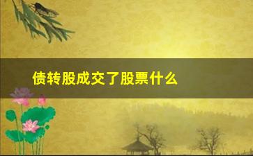 “债转股成交了股票什么到账(股票的债转股什么意思)”/