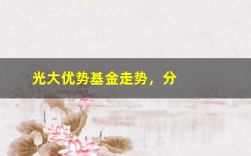 “光大优势基金走势，分析光大优势基金的投资趋势”/