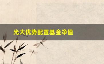 “光大优势配置基金净值如何查询及分析？”/