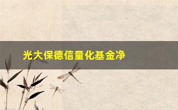 “光大保德信量化基金净值(光大量化核心基金净值查询)”/