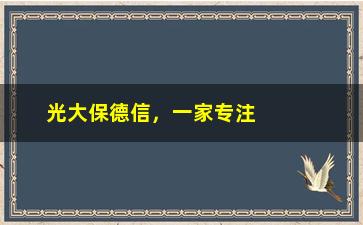 “光大保德信，一家专注于金融服务的企业”/