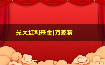 “光大红利基金(万家精选混合基金净值)”/