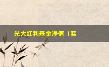 “光大红利基金净值（实时更新及分析报告）”/