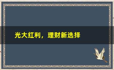 “光大红利，理财新选择，光大银行红利理财产品介绍”/