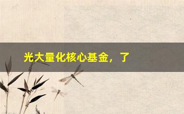 “光大量化核心基金，了解光大量化核心基金的投资策略和表现”/