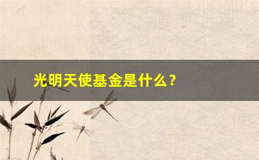 “光明天使基金是什么？值得投资吗？”/