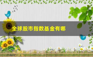 “全球股市指数基金有哪些(海外指数基金有哪些)”/