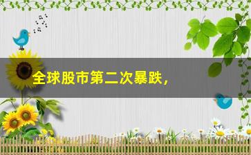 “全球股市第二次暴跌，市场动荡原因及应对策略”/