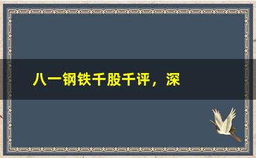 “八一钢铁千股千评，深入解析八一钢铁股票的投资价值”/