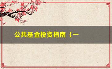 “公共基金投资指南（一份适合新手的入门资料）”/