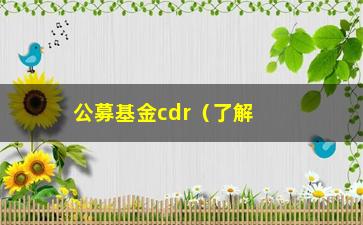 “公募基金cdr（了解公募基金cdr的投资机会与风险）”/