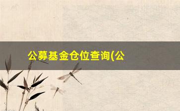 “公募基金仓位查询(公募基金平均仓位)”/