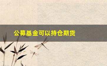 “公募基金可以持仓期货嘛(公募基金私募基金区别)”/