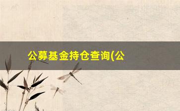 “公募基金持仓查询(公募基金持仓比例新规)”/