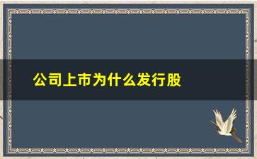 “公司上市为什么发行股票代码(没上市为什么会有股票代码)”/