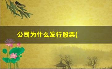 “公司为什么发行股票(有限责任公司为什么不能发行股票)”/