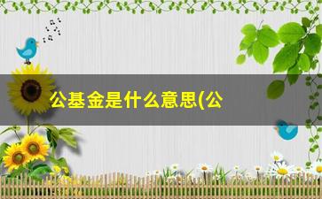 “公基金是什么意思(公募基金是什么意思)”/