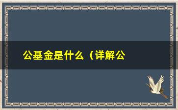 “公基金是什么（详解公积金的概念和作用）”/