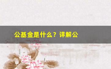 “公基金是什么？详解公基金的定义和作用”/