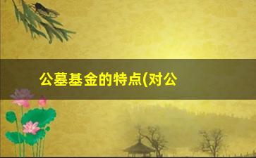 “公墓基金的特点(对公募基金的认识)”/