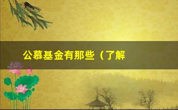 “公慕基金有那些（了解公募基金的种类和特点）”/