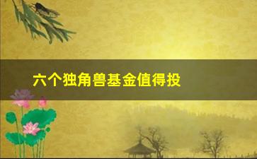 “六个独角兽基金值得投资吗？”/