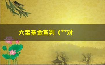 “六宝基金宣判（**对六宝基金案进行宣判）”/